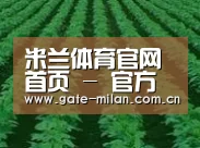 种植基地六(图1)