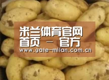 产品展示标题6