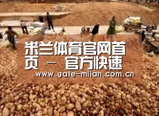 种植基地二