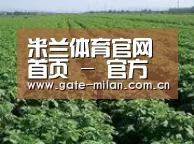 种植基地五(图1)