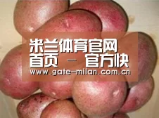 产品展示标题1