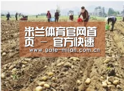 种植基地一