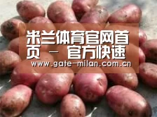 产品展示标题5