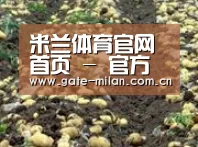 种植基地八(图1)
