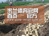 种植基地七(图1)