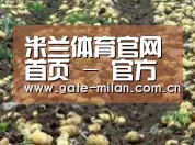种植基地七