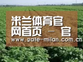 种植基地五