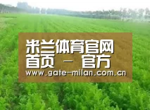 种植基地四
