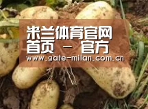 产品展示标题2