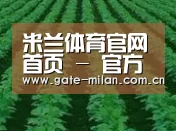 种植基地六