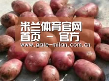 产品展示标题5(图1)