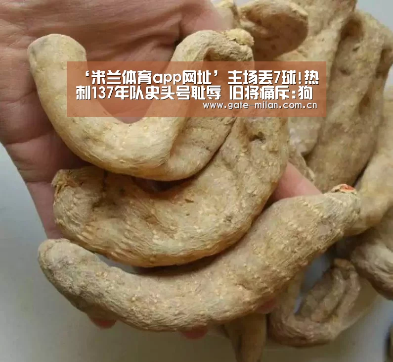 国际米兰