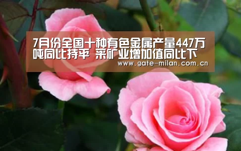 米兰体育app网址