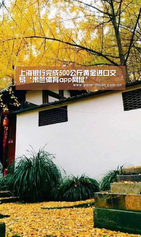 国际米兰
