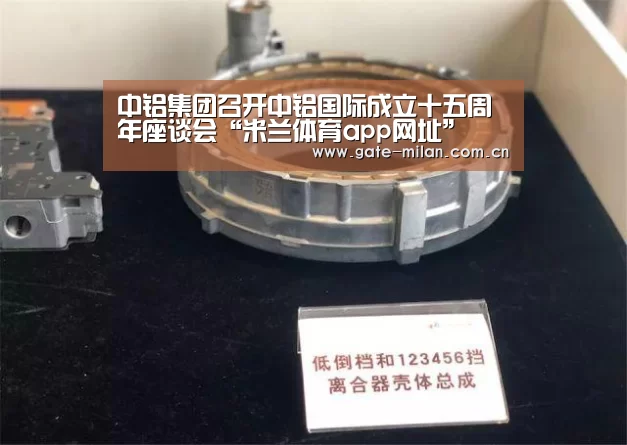 中铝集团召开中铝国际成立十五周年座谈会“米兰体育app网址”(图1) 米兰体育官网登录